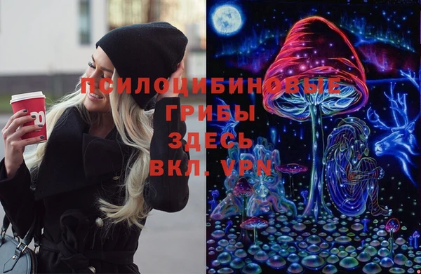 мет Инсар