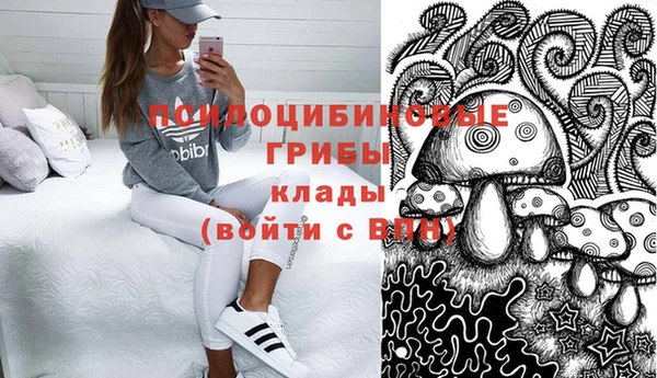 мет Инсар