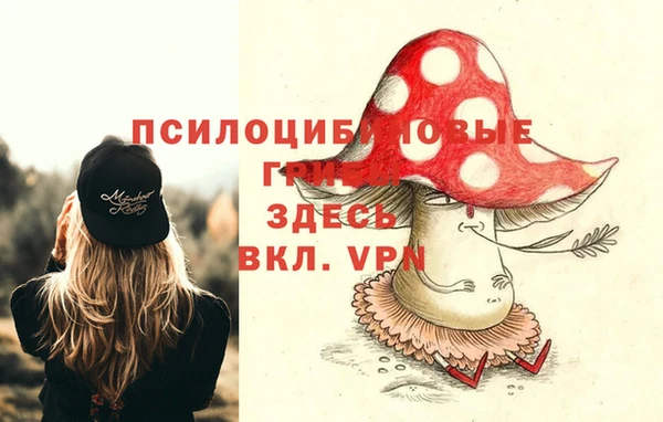 мет Инсар