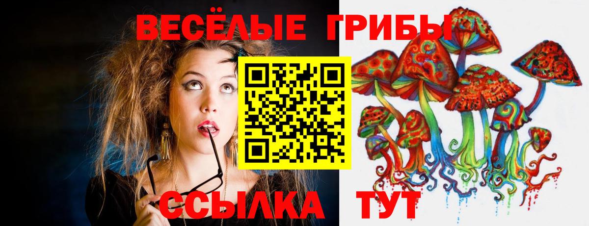 Псилоцибиновые грибы Cubensis  Вход с VPN  Иркутск  Псилоцибиновые грибы ЛСД 